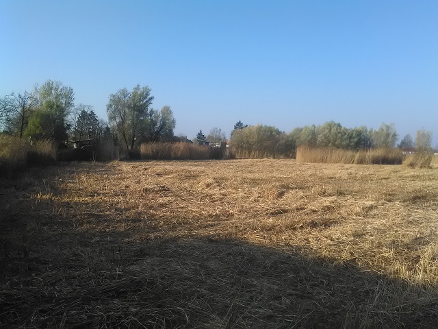 IMG 20181106 084908
